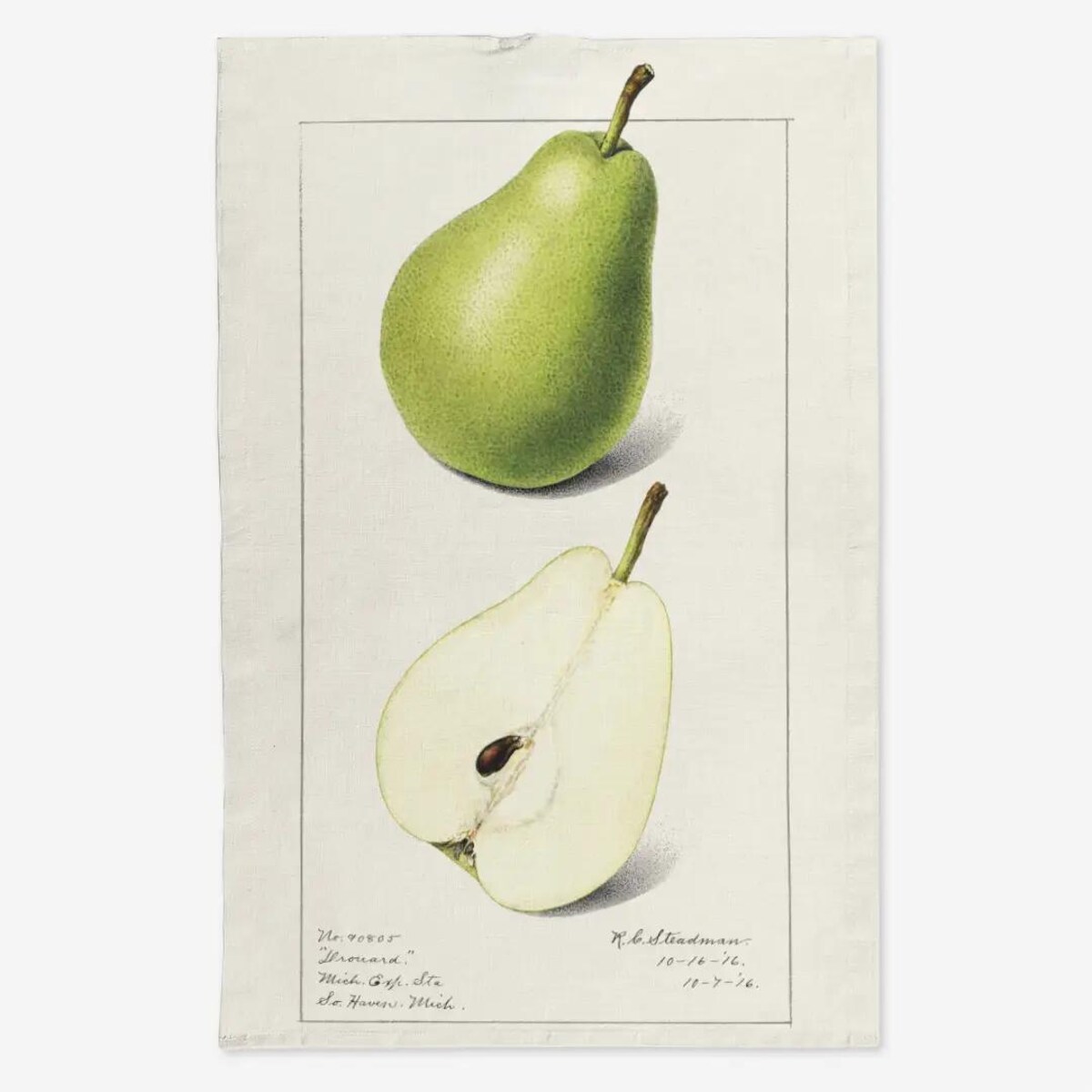 Lniany ręcznik kuchenny - zielone gruszki