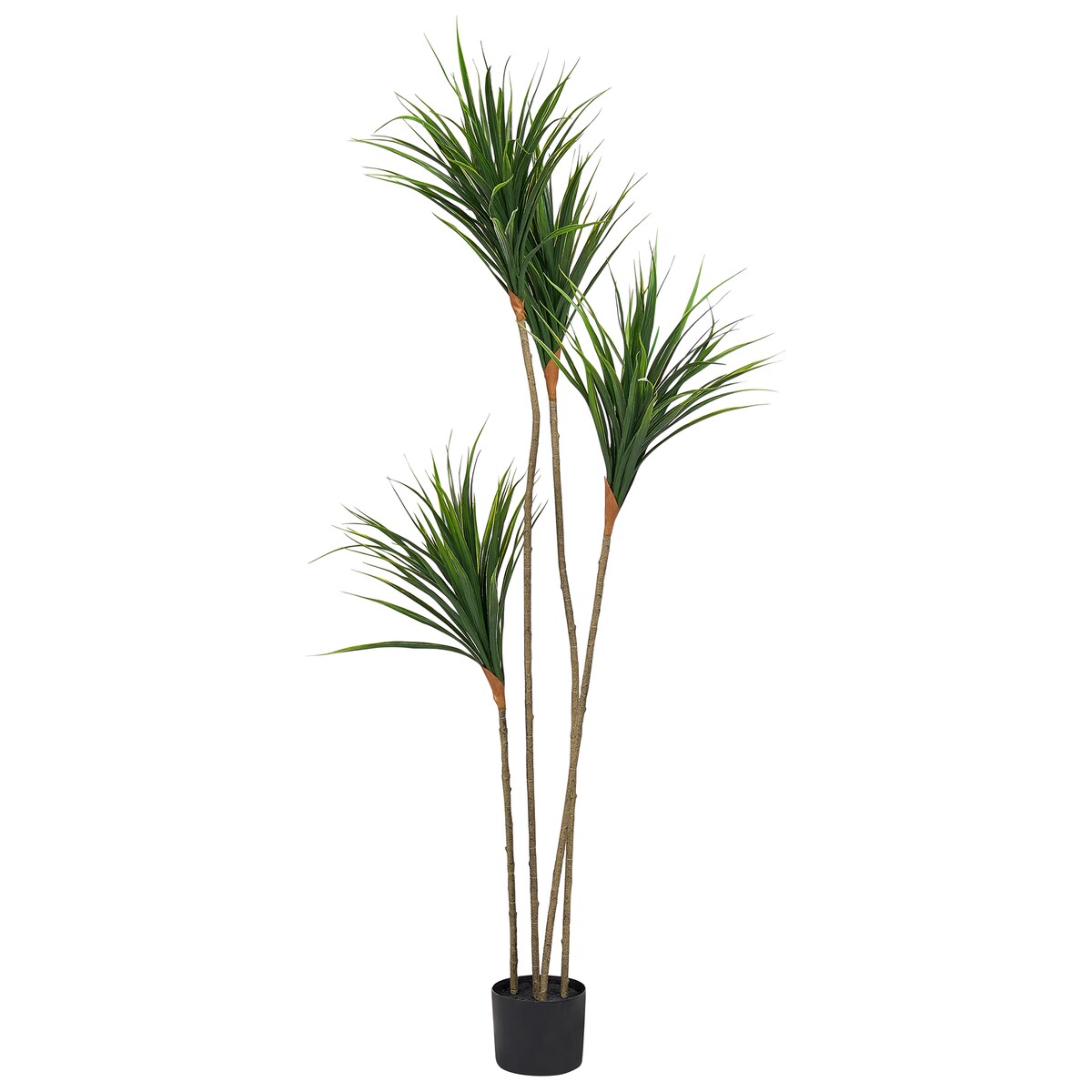 Sztuczna roślina DRACAENA DRACO 165 cm Zielony