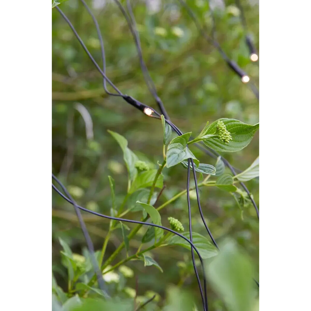 Wisząca dekoracja ogrodowa Garden 24 LED 4,8W świetlna