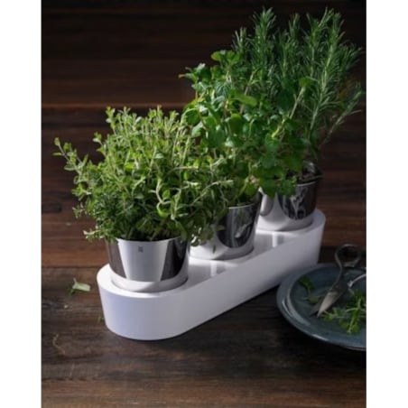 Zestaw 3 doniczek na zioła Gourmet, 36 x 12.5 x 10.8 cm, WMF