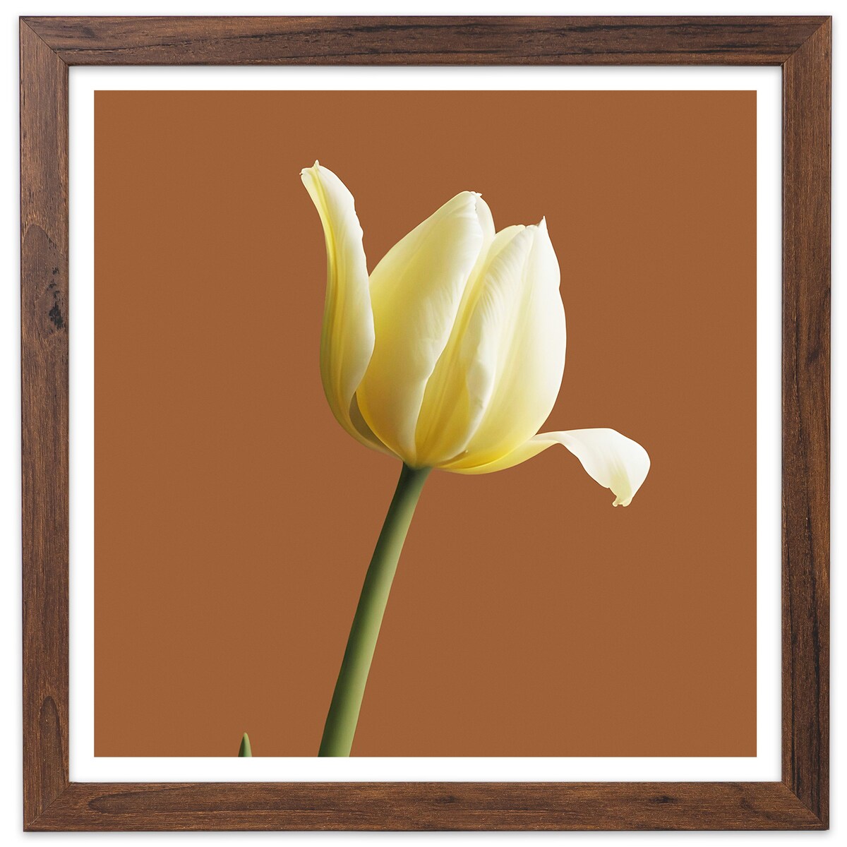 Ramka na zdjęcia 30x30 cm brązowa rama MDF z plexi do powieszenia klasyczna kwadratowa ramka FRAMAI