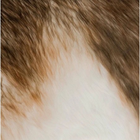 Figurka MAXI Renifer jak żywy 180 cm