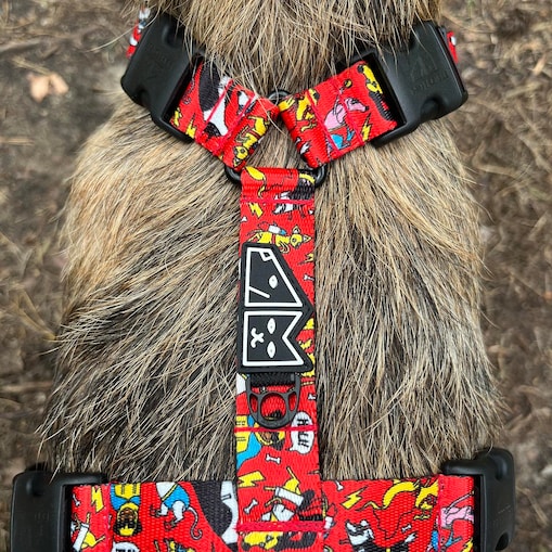 Szelki guard Stay on "Pies, ktory lata najlepsze ma za sobą" - Szerokość taśmy: 38mm, Rozmiar: XL