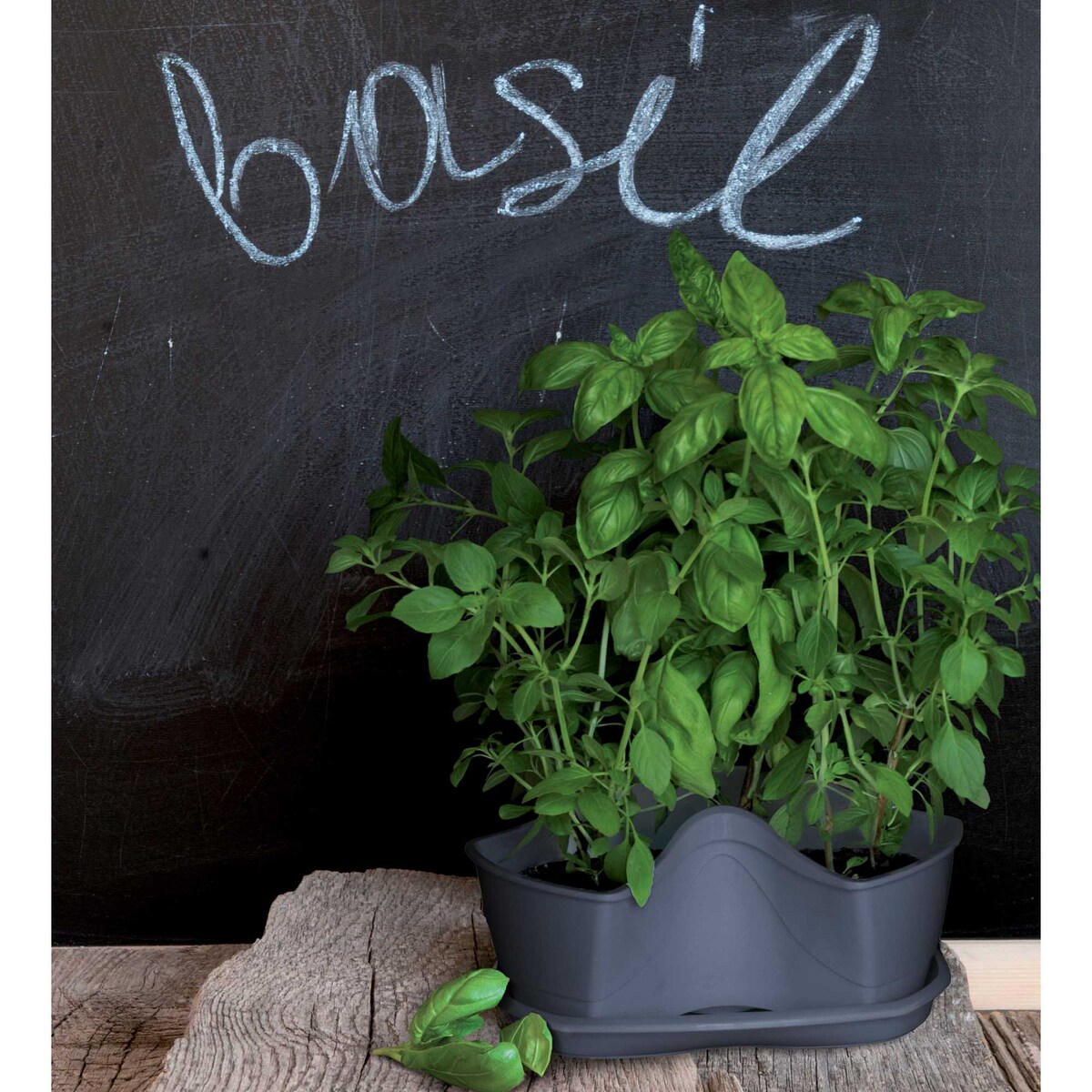 Doniczka Na Zioła Ziołówka Kaskadowa Zielnik