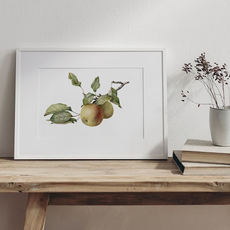 Plakat Gałązka z jabłkami 30x40cm