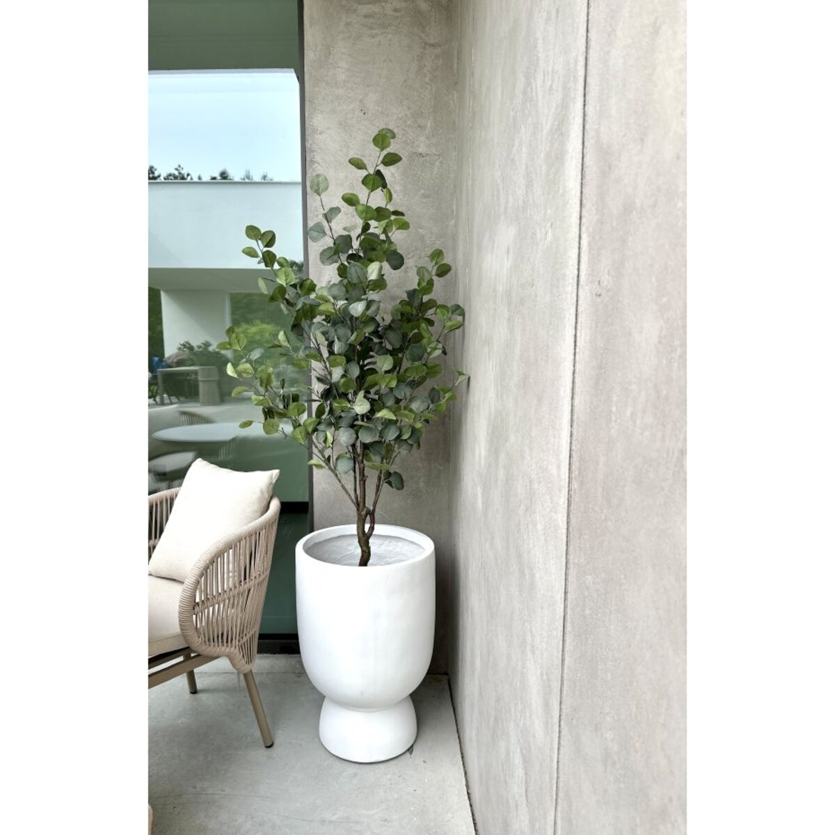 DRZEWKO EUKALIPTUSOWE 150 cm