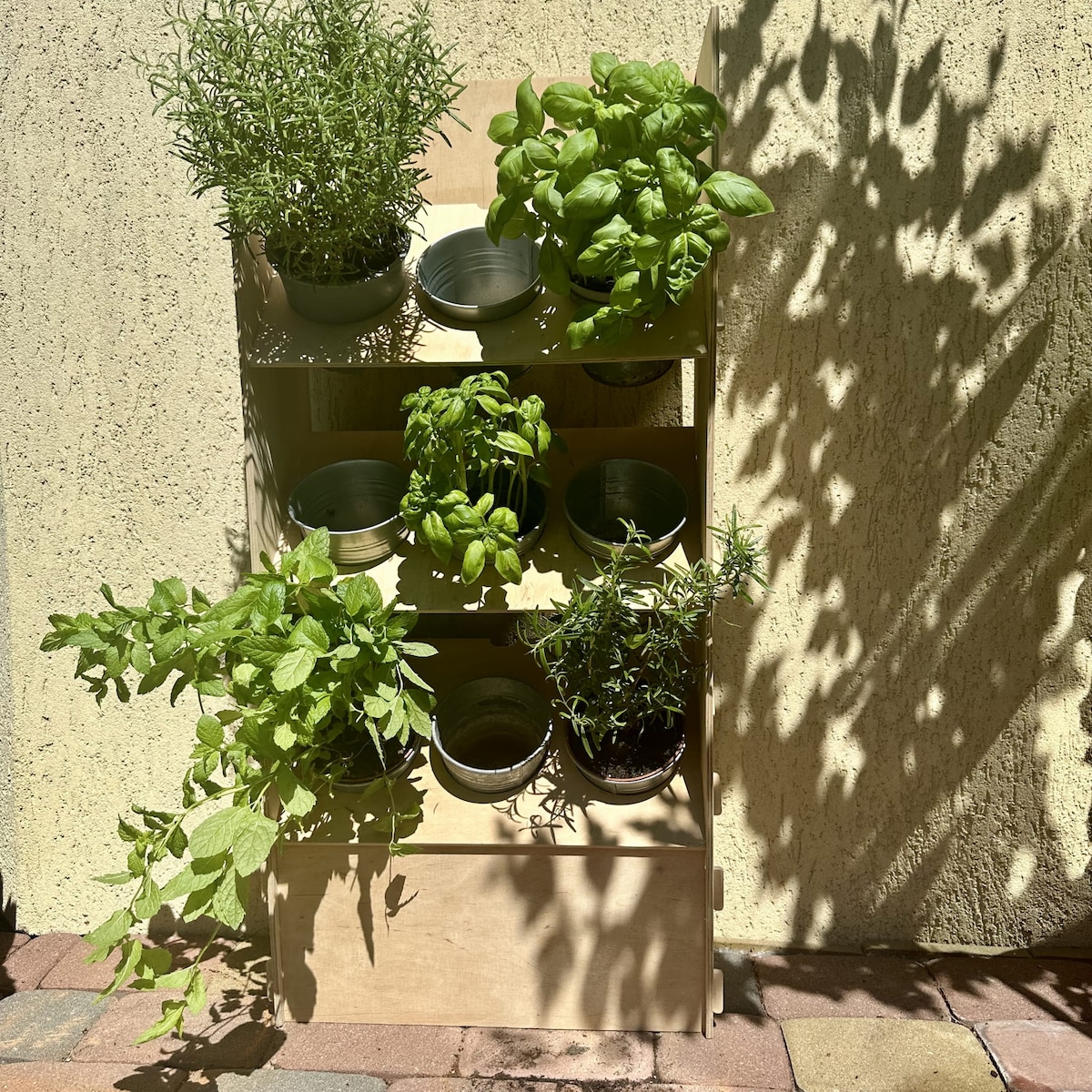 ZIELNIK MINI PROVENCE