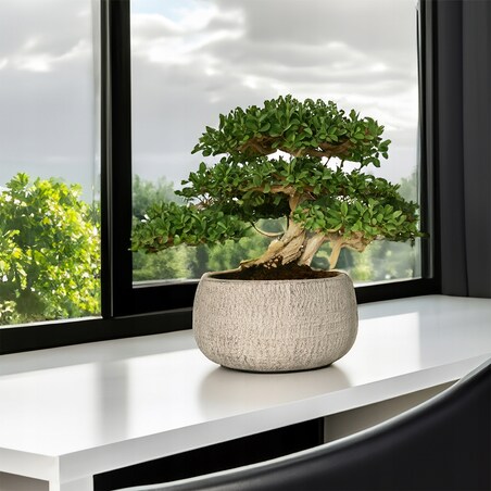 DONICZKA NA BONSAI PŁASKA NISKA DUŻA 24cm skandynawska okrągła na balkon