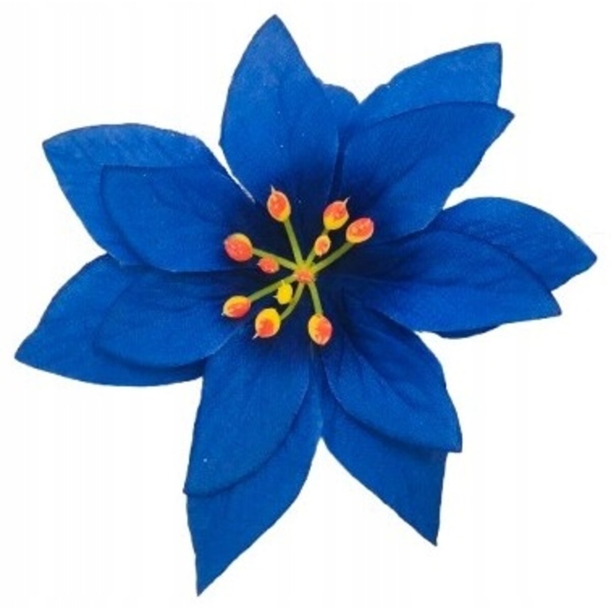 GWIAZDA betlejemska poinsecja niebieska na wianek choinka święta stroik 12x