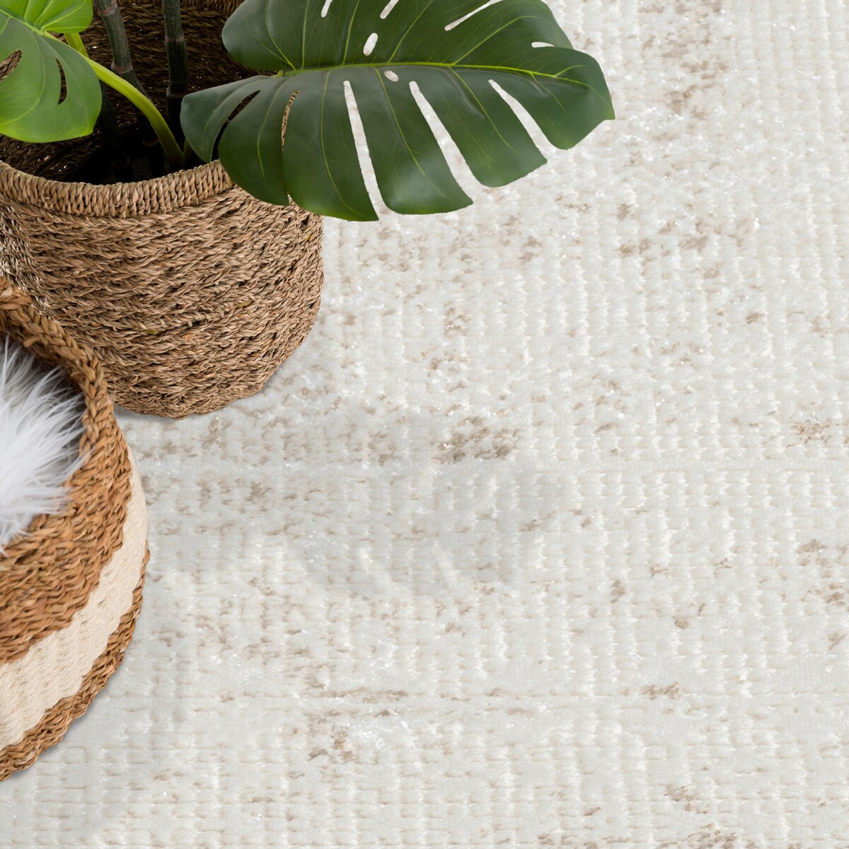 Dywan strukturalny ramka vintage Antique 2320 Krem 80x150