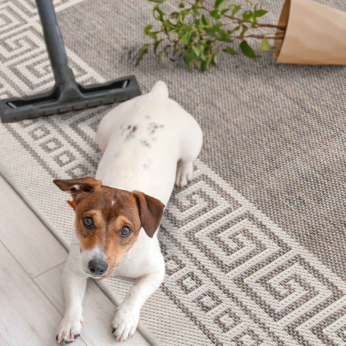 Dywan chodnik płasko tkany Express 80x140 cm e-floor OEKO-TEX grecki beżowy