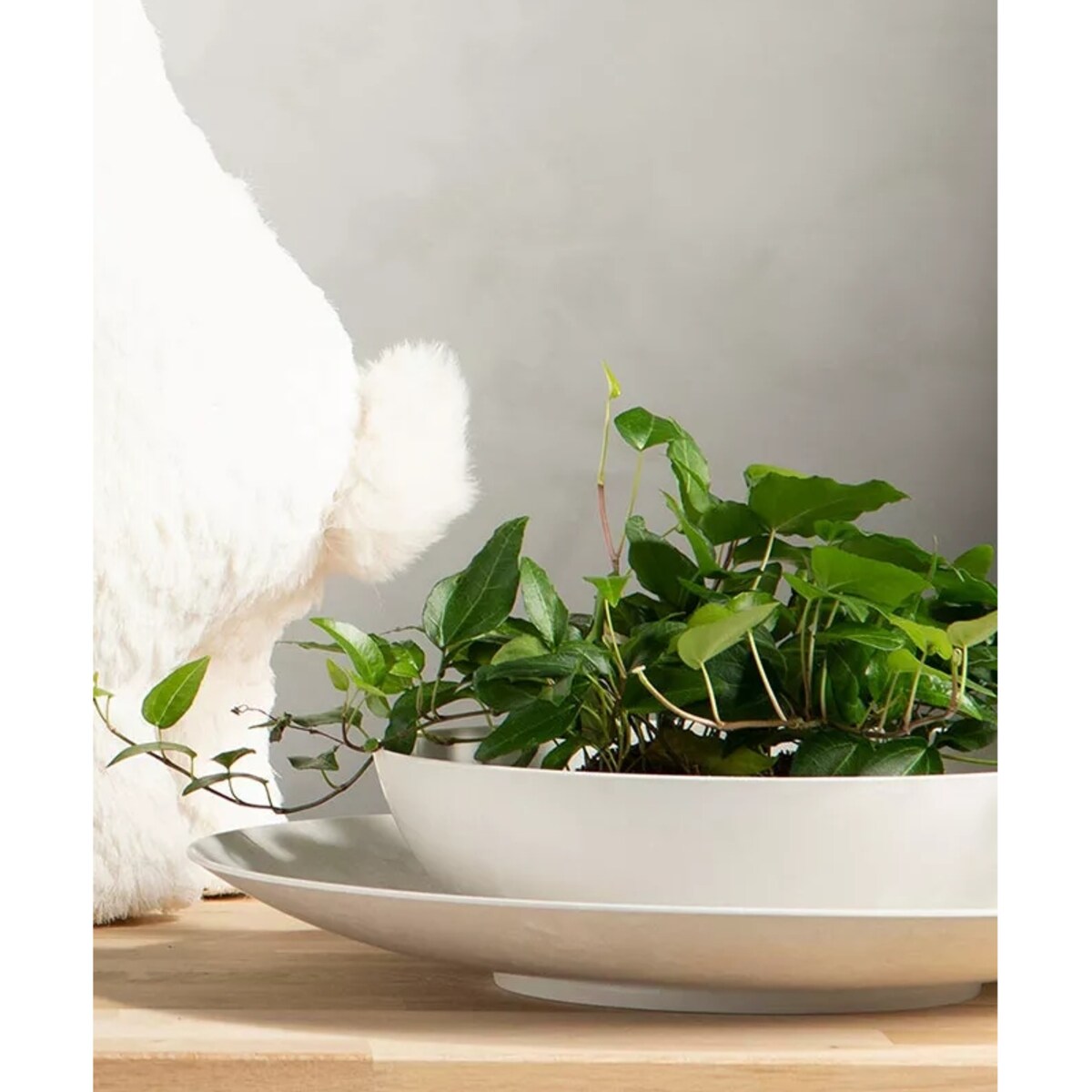 MISA MISKA DEKORACYJNA POIDEŁKO NA FONTANNĘ TWORZYWO SZARA DUŻA 30cm