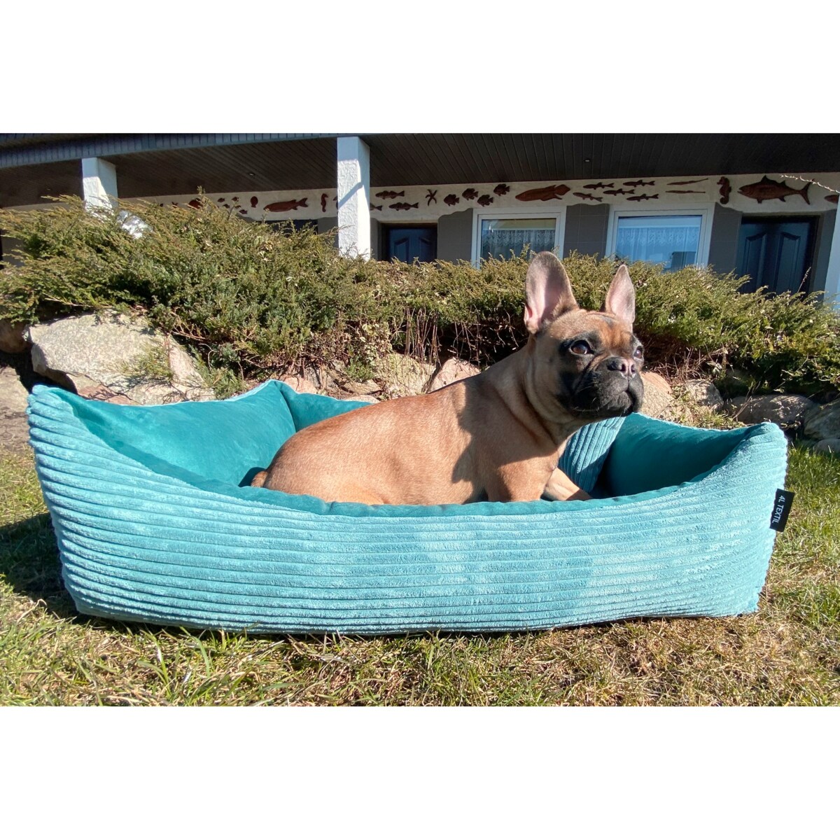 Sztruksowe legowisko dla psa MOLLY, 60x40 cm, Turkus