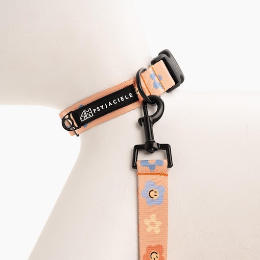 Obroża dla psa lub kota "Oopsy Daisy" - Szerokość taśmy: 25mm, Rozmiar: M