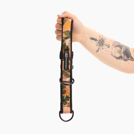 Obroża półzaciskowa SUPER SOFT "Wie wiórka co dobre" - Szerokość taśmy: 38mm, Rozmiar: XL