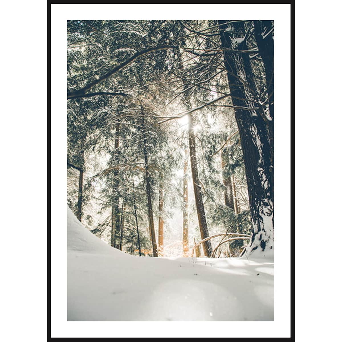 Poster Story, Plakat, Obraz - Zimowy Las z Lotu Ptaka, wymiary 60 x 84 cm