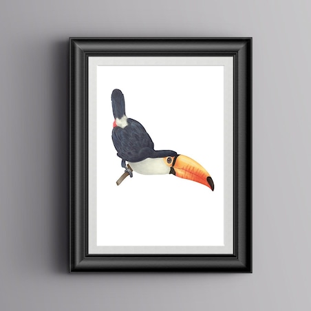 Plakat dla dzieci Tukan 20x30