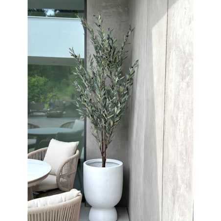 ZESTAW DRZEWEK OLIWNYCH SZARYCH