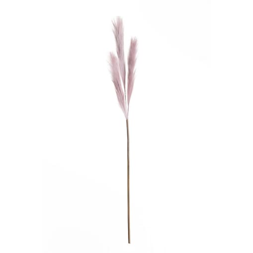 Trawa pampasowa 100cm lilac, 2 x 2 x 100 cm