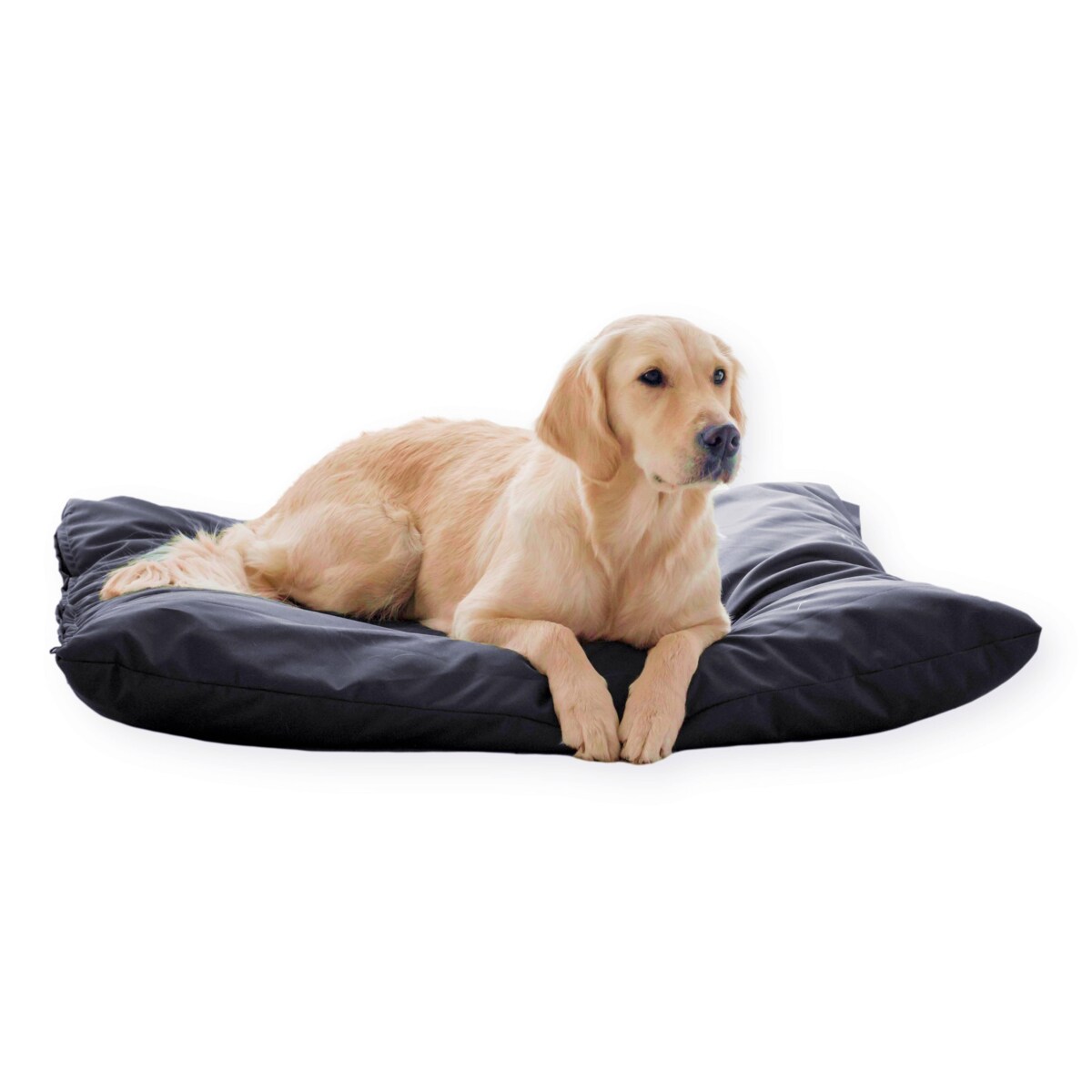 Wodoodporna poduszka dla psa ZOE, 80x60 cm, Czarny