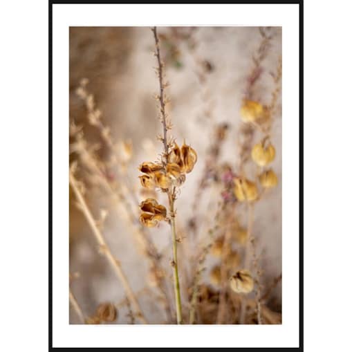 Poster Story, Plakat, Obraz - Przedwiośnie, wymiary 50 x 70 cm