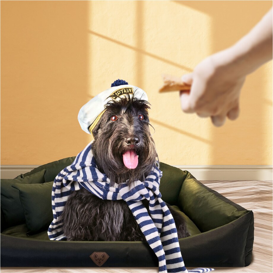 Legowisko Dla Psa Kanapa Posłanie Muszla 115X95 Cm Wodoodporne Poduszki Pikowane Zielone