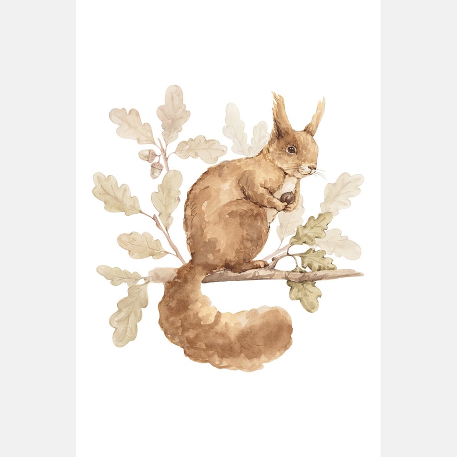 Plakat dla dzieci Wiewiórka 20x30