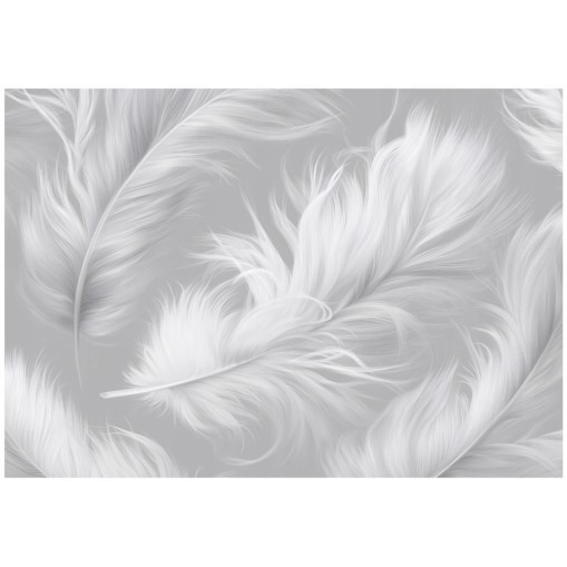 Fototapeta Do Sypialni Salonu Na Flizelinie Pióra Nowoczesny Szary 250x175