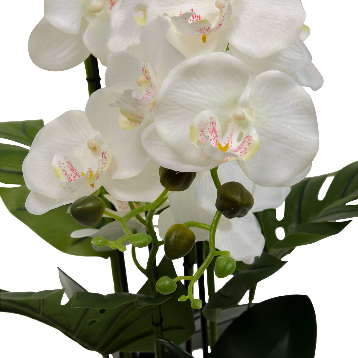 Sztuczna orchidea z ceramiczną doniczką w paski ASIA, 50 x 81 cm