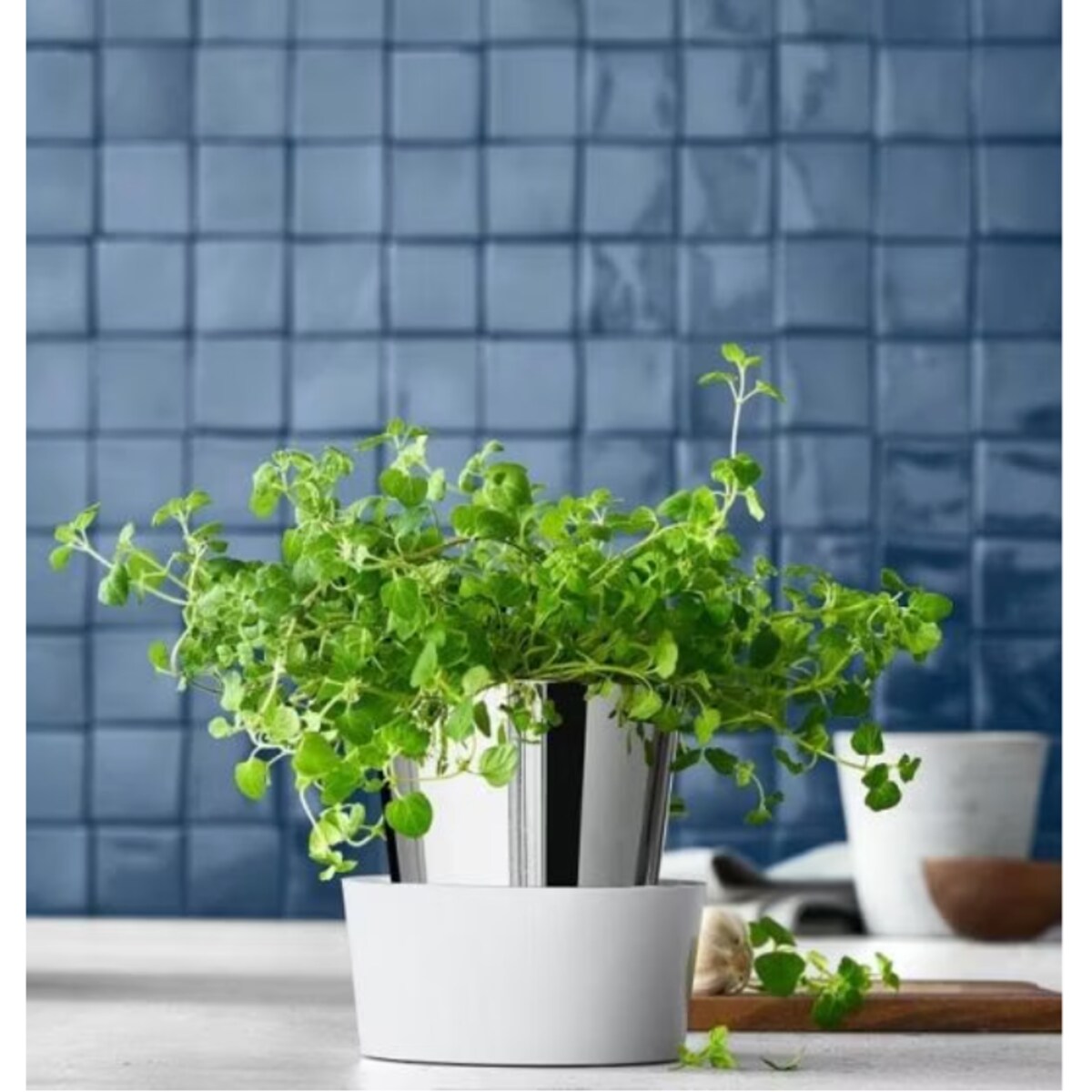 Doniczka na zioła Gourmet WMF