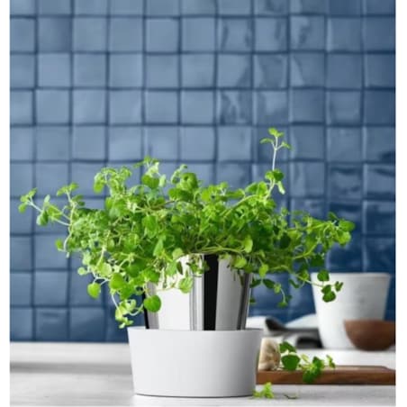 Doniczka na zioła Gourmet WMF