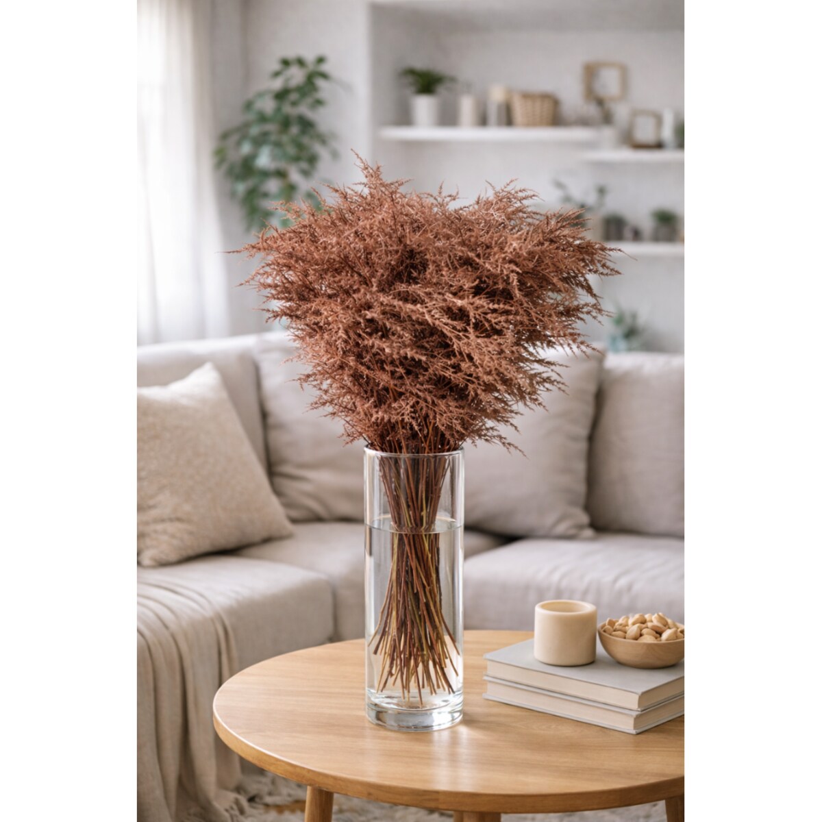 Asparagus Copper – bukiet , 50 szt., wysokość ok. 80 cm, 550–600 g