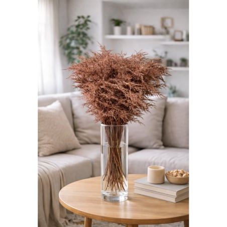 Asparagus Copper – bukiet , 50 szt., wysokość ok. 80 cm, 550–600 g