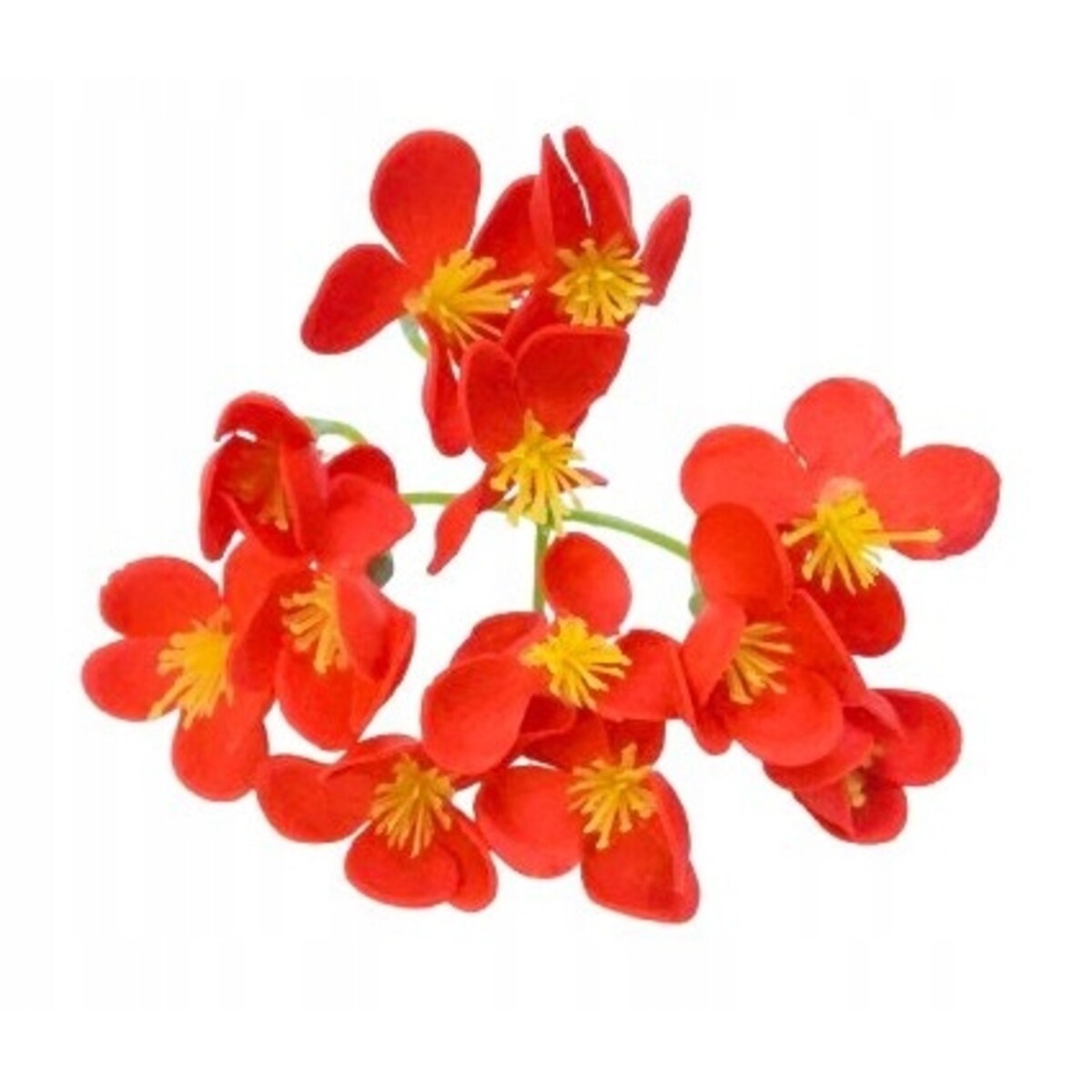 hortensja KWIATY Z MYDŁA drobne kwiatuszki CZERWONE mydlane na bukiet box 1