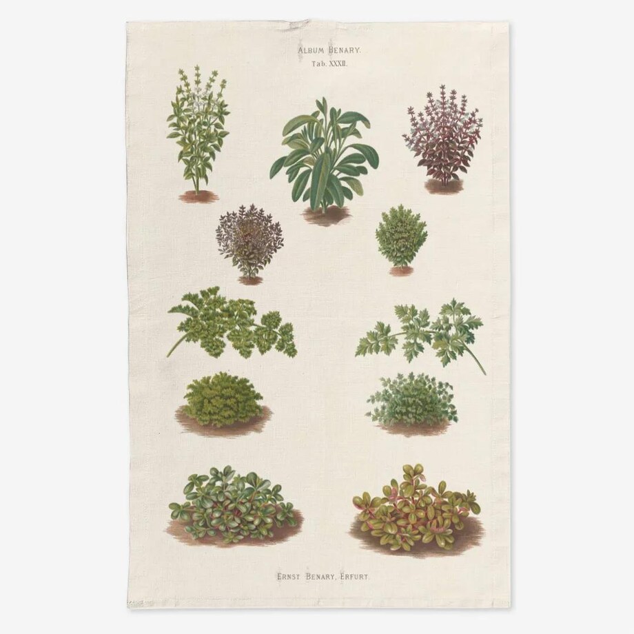 Lniany ręcznik kuchenny - Zioła