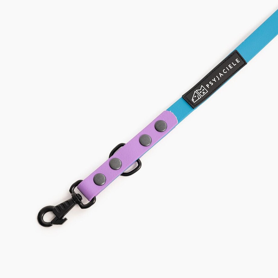 Smycz przepinana Biothane® dla psa lub kota "Turquoise with Lilac" - Rozmiar: M, Szerokość taśmy: 16mm