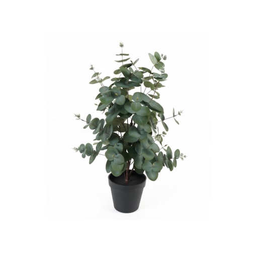 Sztuczny eukaliptus w doniczce EDEN, 54 cm