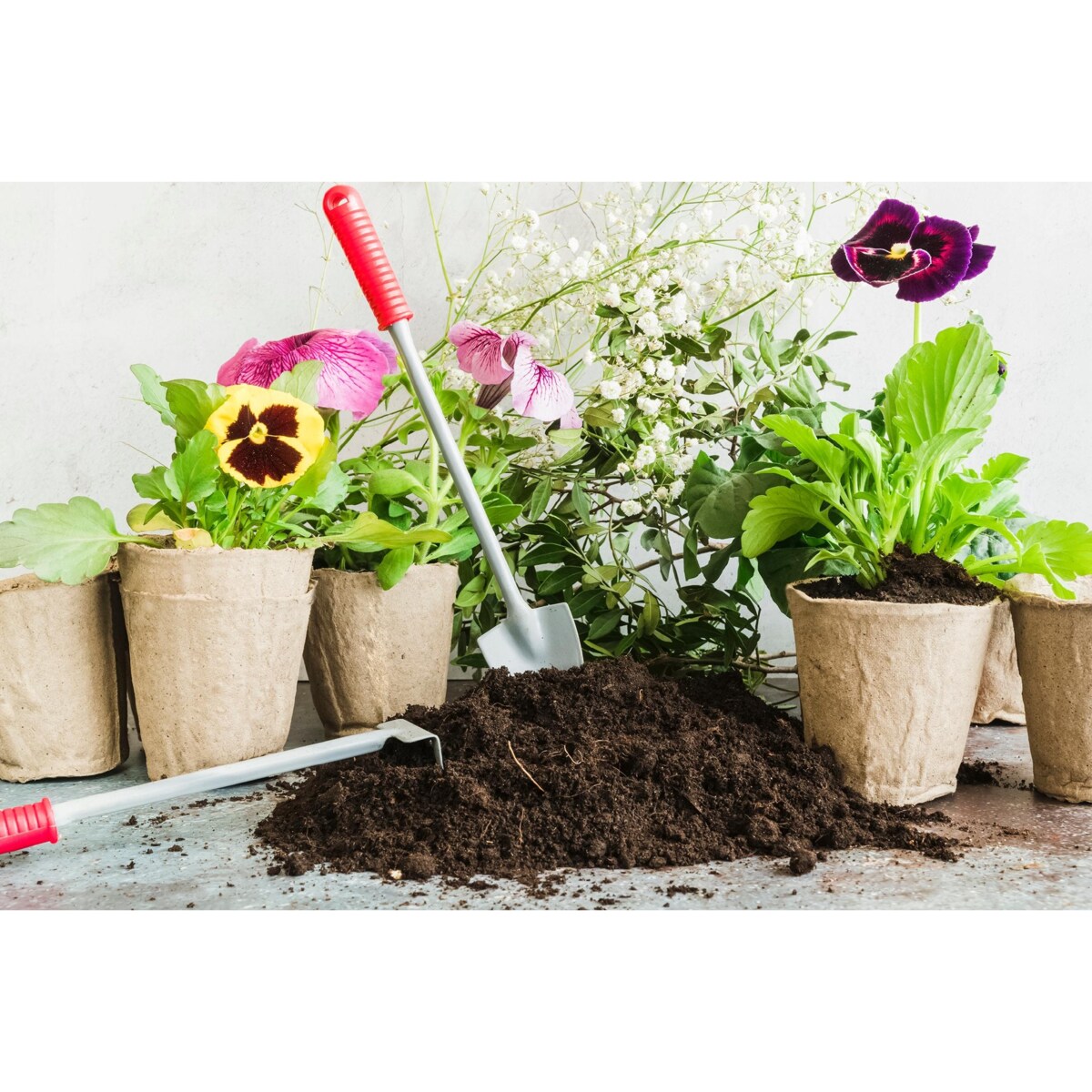 20 X Doniczki Torfowe Do Rozsady Wysiewu Pikowania Sadzonki