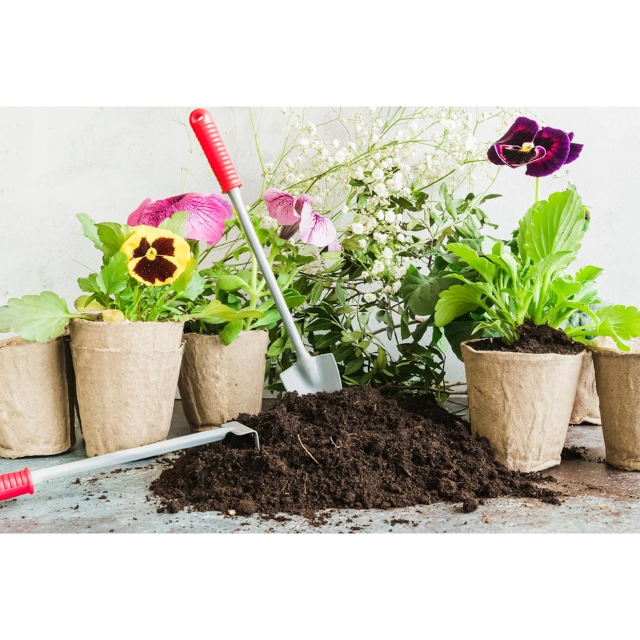 20 X Doniczki Torfowe Do Rozsady Wysiewu Pikowania Sadzonki