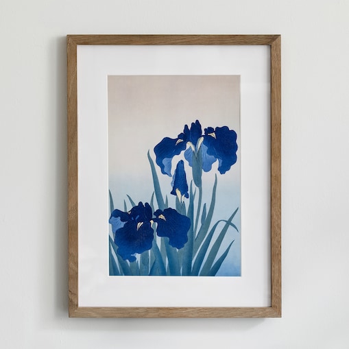 Plakat Niebieskie Irysy 30x40cm