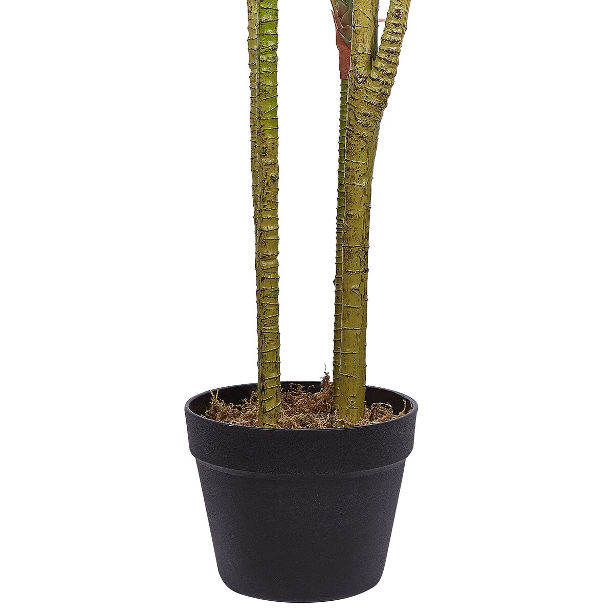 Sztuczna roślina DRACAENA ANITA 147 cm Zielony