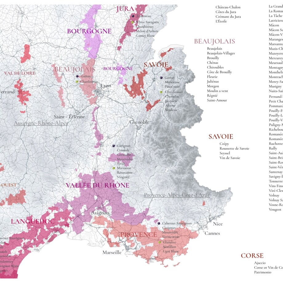 plakat FRANCJA regiony winiarskie 50x70cm