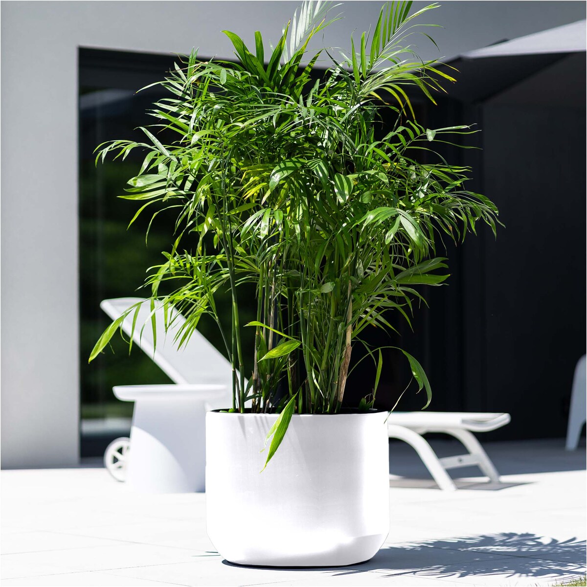 Doniczka Donica Ogrodowa 46,9 Cm Okrągła Na Taras Do Ogrodu Domu Biała