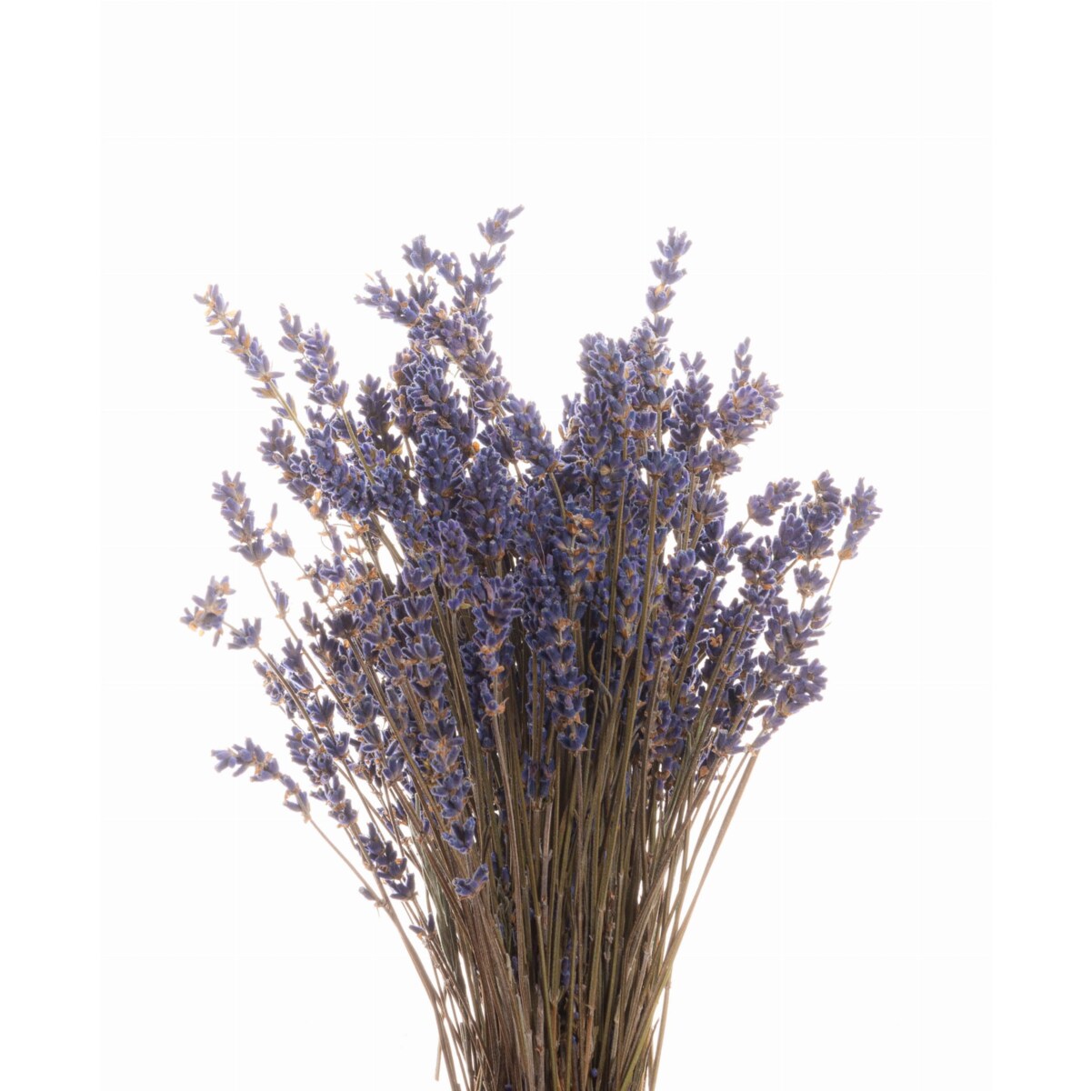 Suszona lawenda bukiet 40g