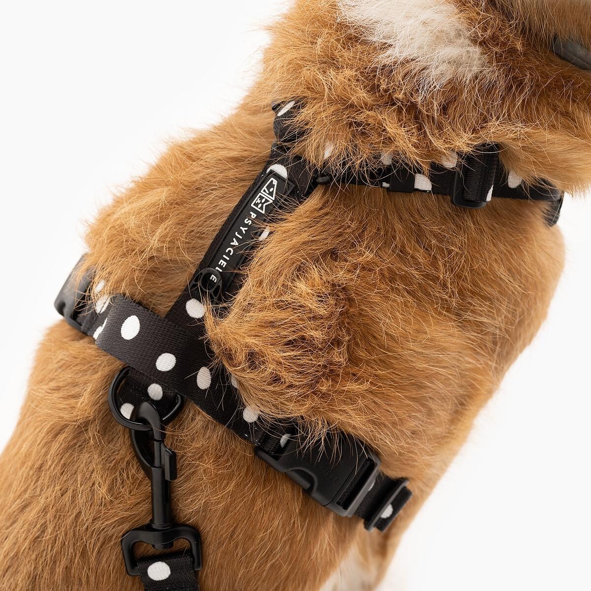 Szelki bezuciskowe dla psa lub kota "Psygarnij kropka" - Szerokość taśmy: 38mm, Rozmiar: XL