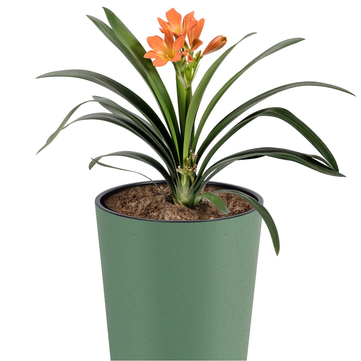 Donica Doniczka Ogrodowa 25 Cm Na Taras Do Ogrodu Domu Eco Wood Zielony