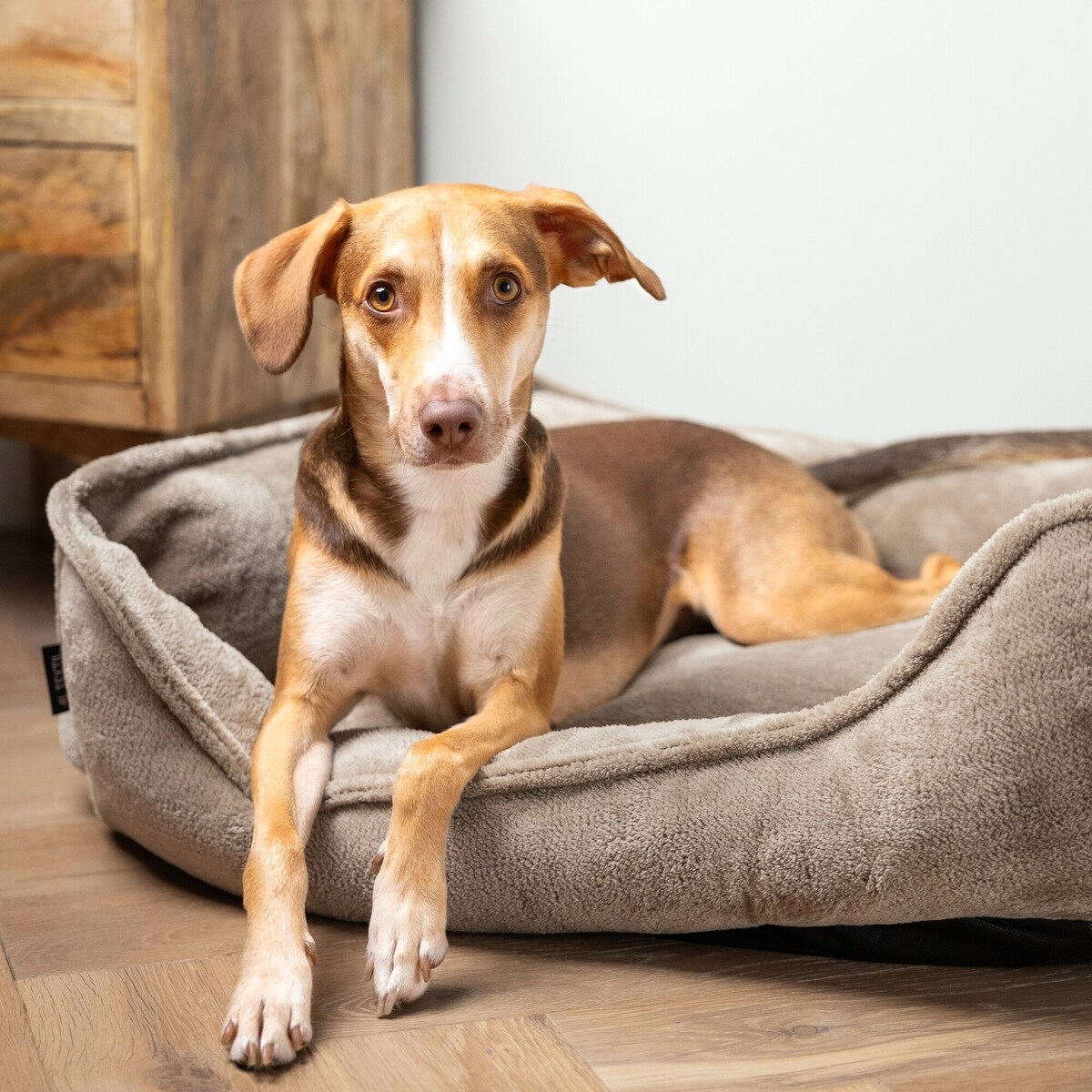 Ortopedyczne legowisko dla psa IRIS, 100x80 cm, Brąz