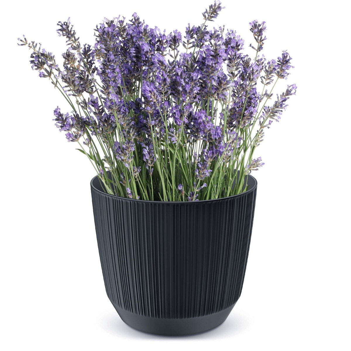 Doniczka Osłonka Domowa 14,6 Cm Ryfo Na Stół Parapet Do Domu Antracytowa