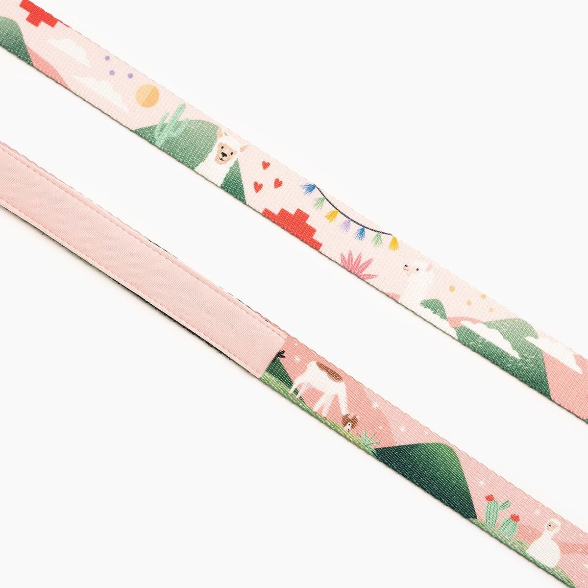 Smycz miejska dla psa lub kota "Więcej niż jedno zwierzę" - Szerokość taśmy: 20mm, Rozmiar: M oraz Rodzaj: Mały karabinek