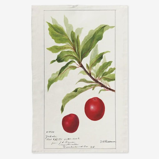 Lniany ręcznik kuchenny - gałązka śliwki